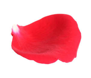 Photo of Fresh red rose petal isolated on white