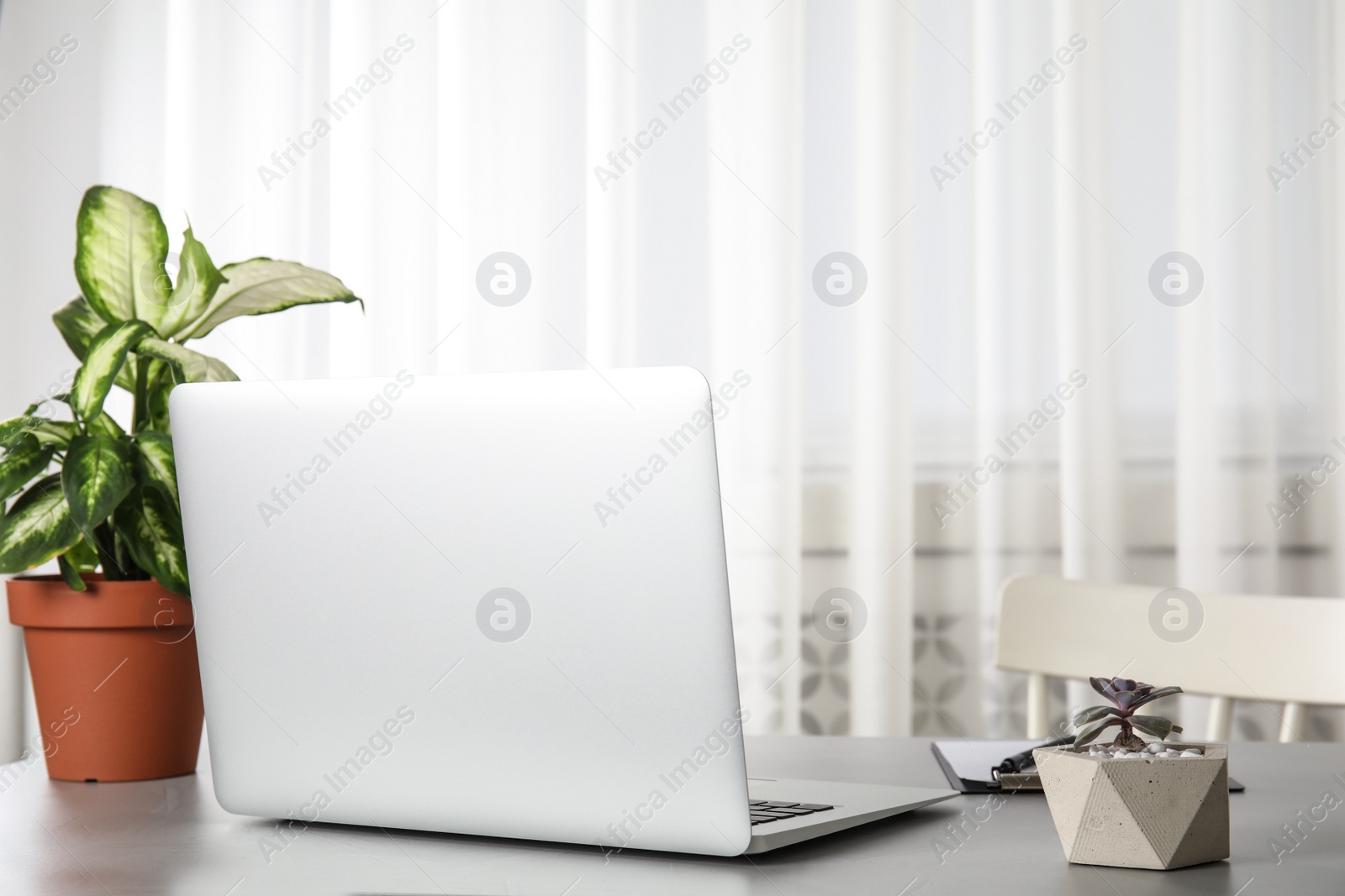 Photo of Office interior with houseplant and laptop on table