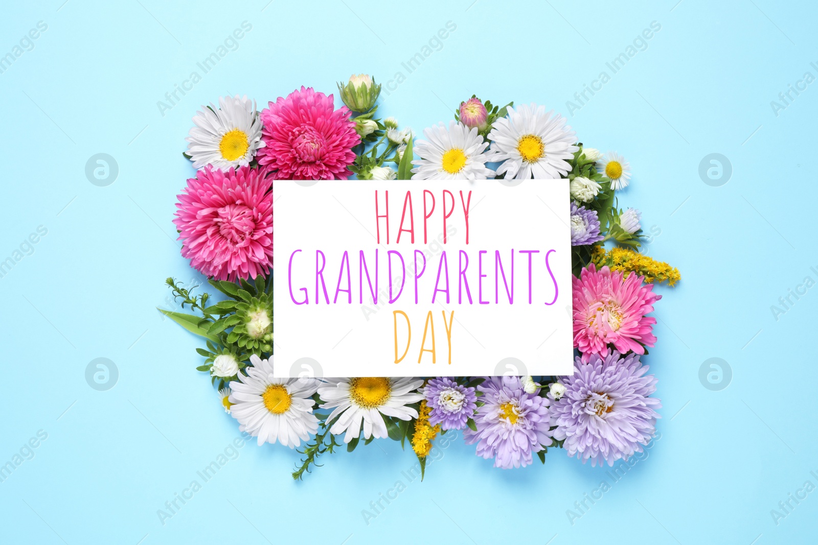 Image of Flat lay composition with beautiful aster flowers and phrase HAPPY GRANDPARENTS DAY on light blue background