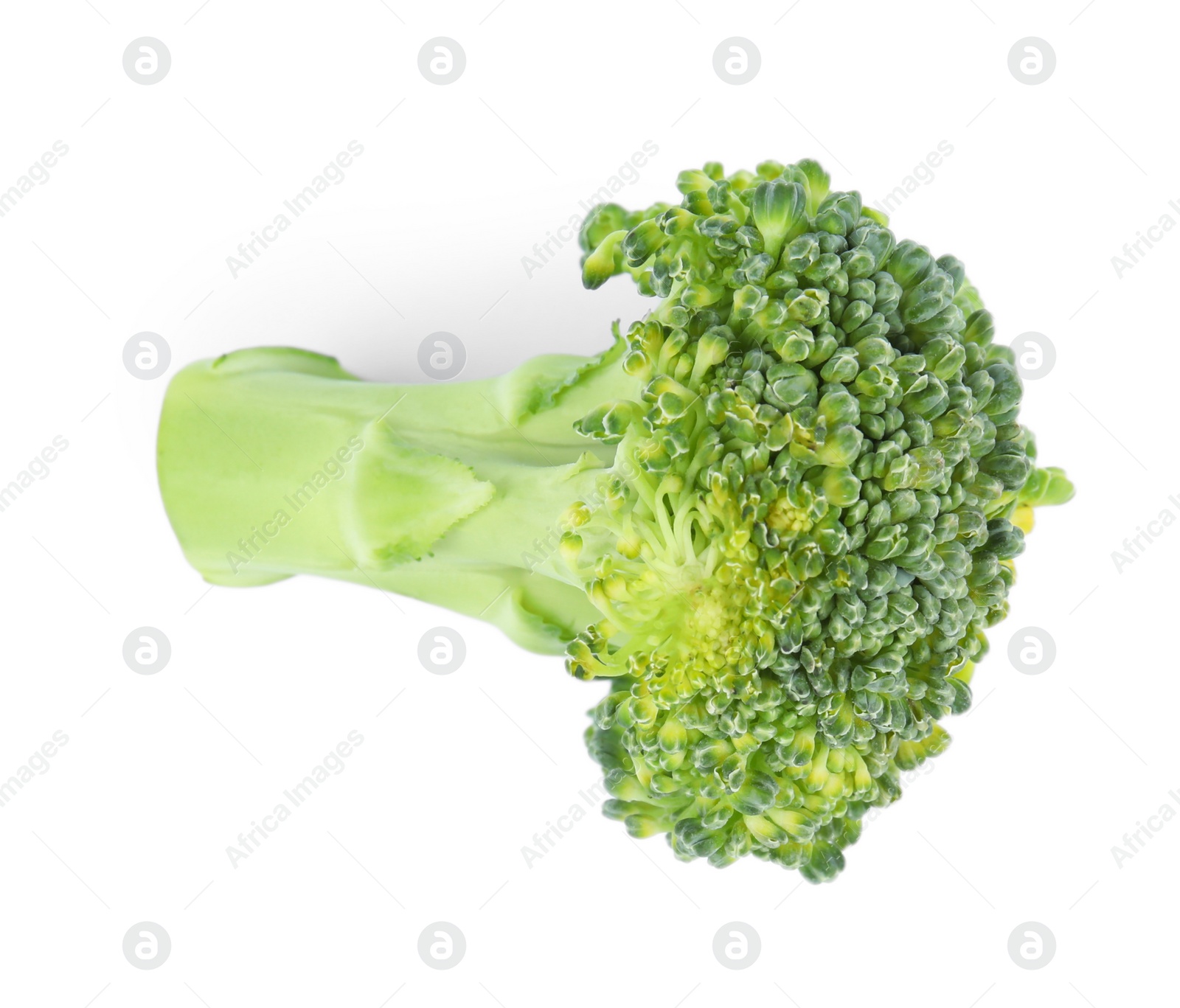 Photo of Fresh green broccoli on white background. Organic food