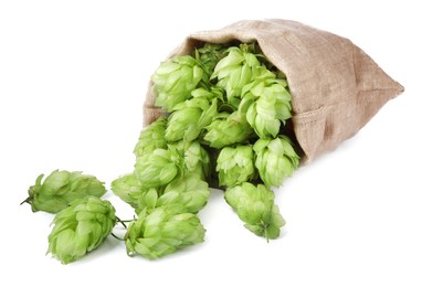 Sack with fresh green hops on white background
