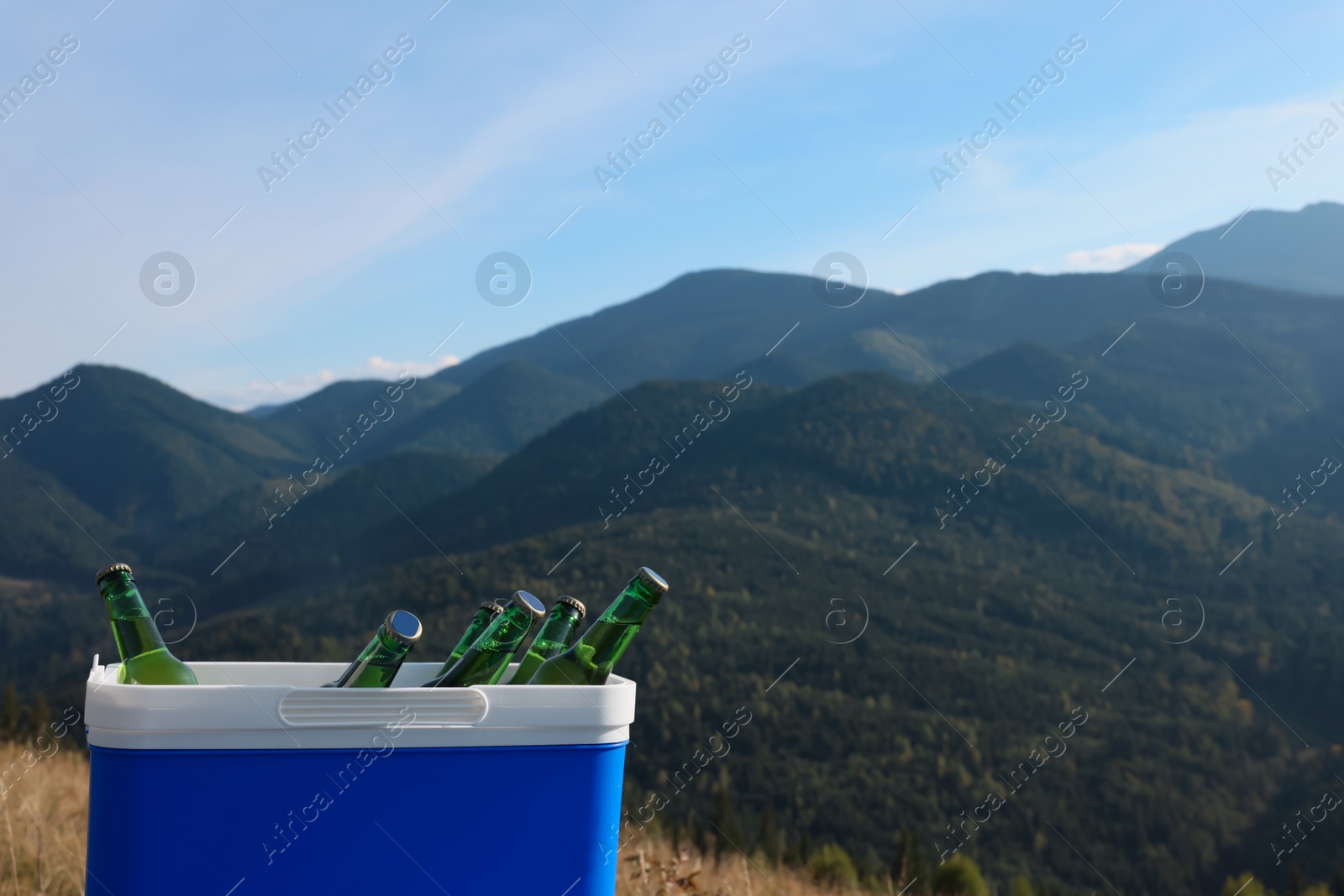 Photo of Cool box with bottles of beer in mountains. Space for text