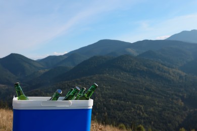 Cool box with bottles of beer in mountains. Space for text