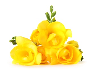 Bouquet of fresh freesia flowers isolated on white