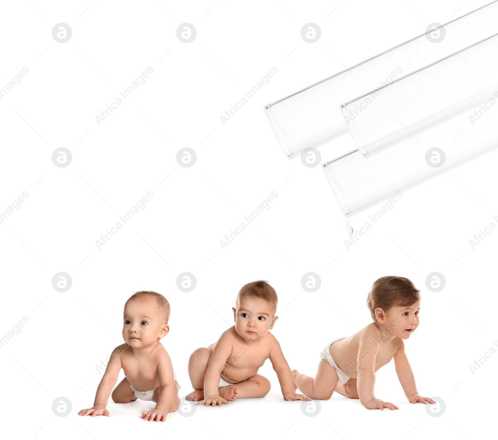 Image of Little babies and test tubes on white background