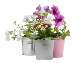 Photo of Beautiful flowers in metal pots isolated on white
