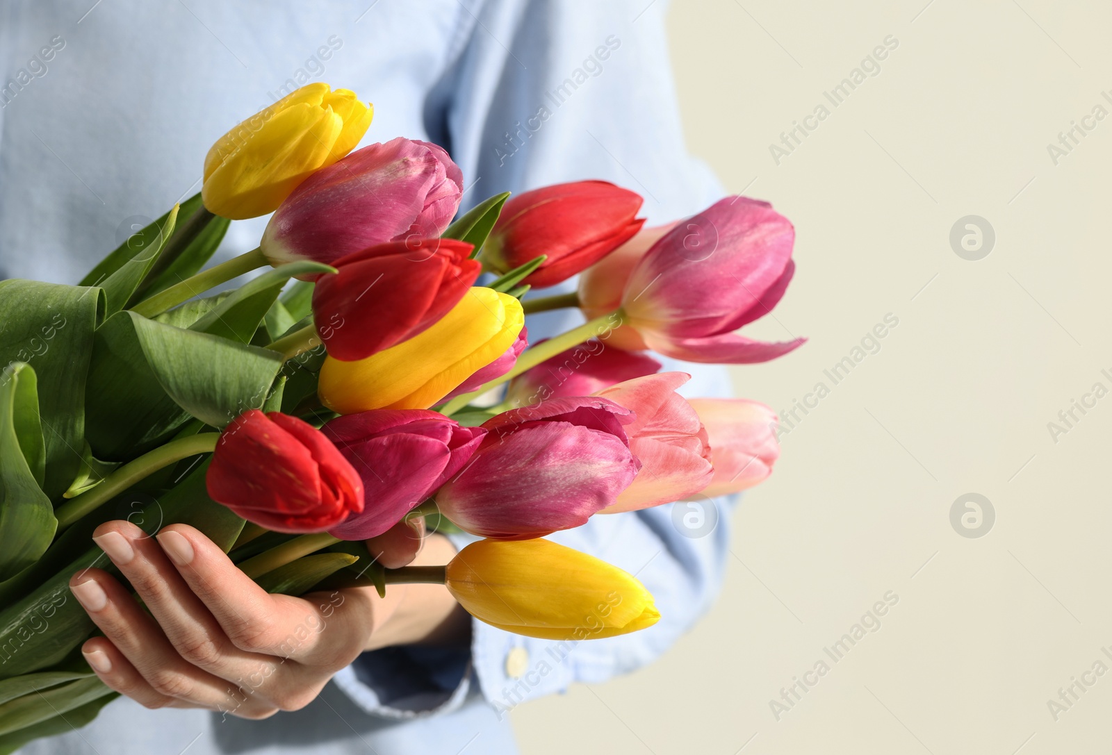 Photo of Woman holding beautiful colorful tulip flowers on white background, closeup. Space for text