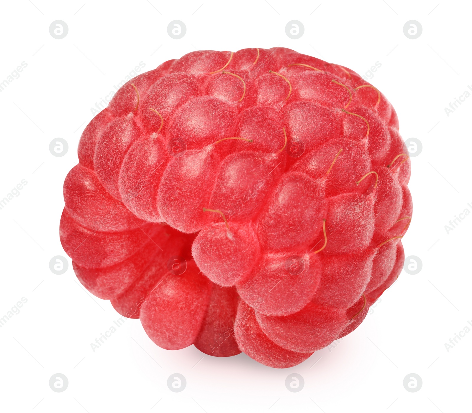 Photo of One tasty ripe raspberry isolated on white