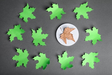 Photo of Dry leaf among paper ones on dark background, top view. Be different