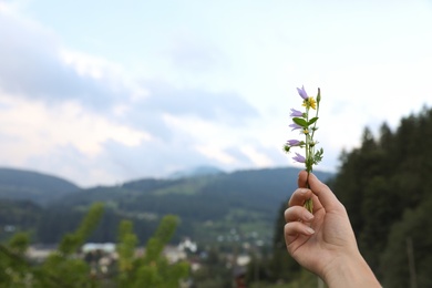 Woman holding blooming meadow flowers outdoors, closeup with space for text