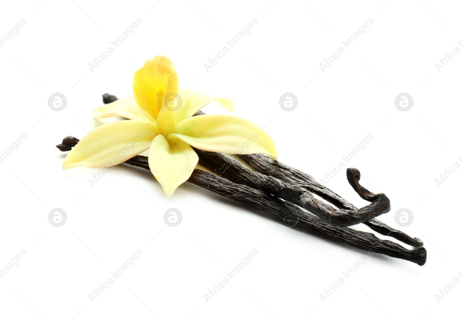 Photo of Aromatic vanilla sticks and flower on white background