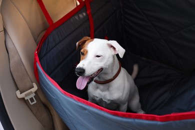 Photo of Cute Jack Russel Terrier dog in bag carrier inside car. Pet accessory