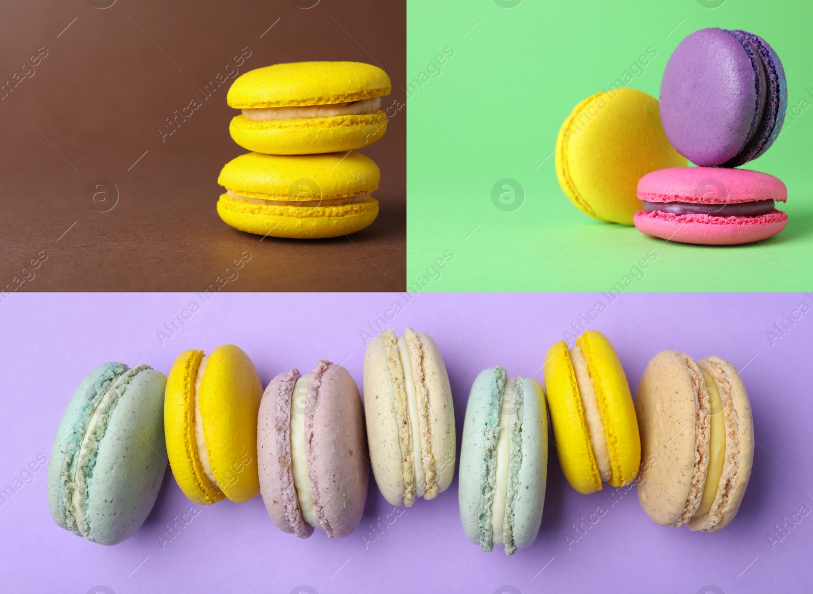 Image of Collage with photos of delicious macarons on different color backgrounds 