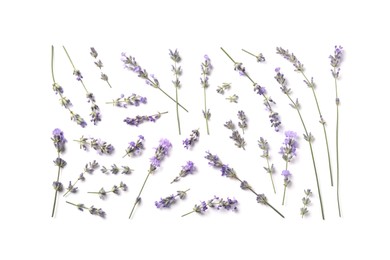 Beautiful aromatic lavender flowers on white background, flat lay