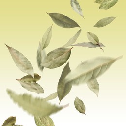 Image of Dry bay leaves falling on light yellow gradient background