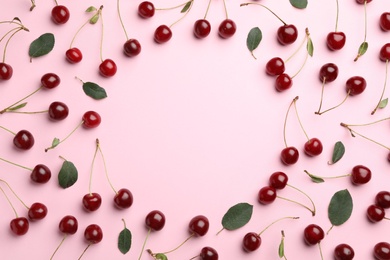 Delicious cherries on pink background, flat lay. Space for text