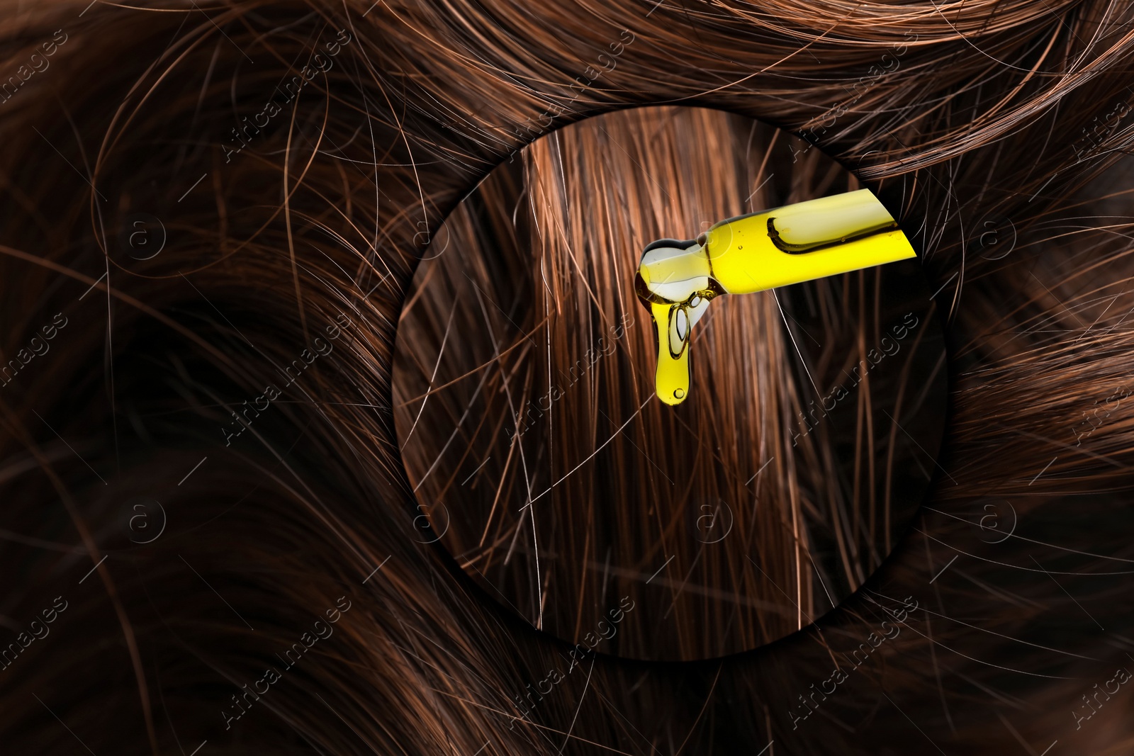 Image of Dripping cosmetic oil from pipette onto brown hair in zoomed area