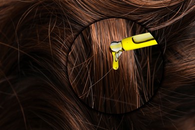 Image of Dripping cosmetic oil from pipette onto brown hair in zoomed area