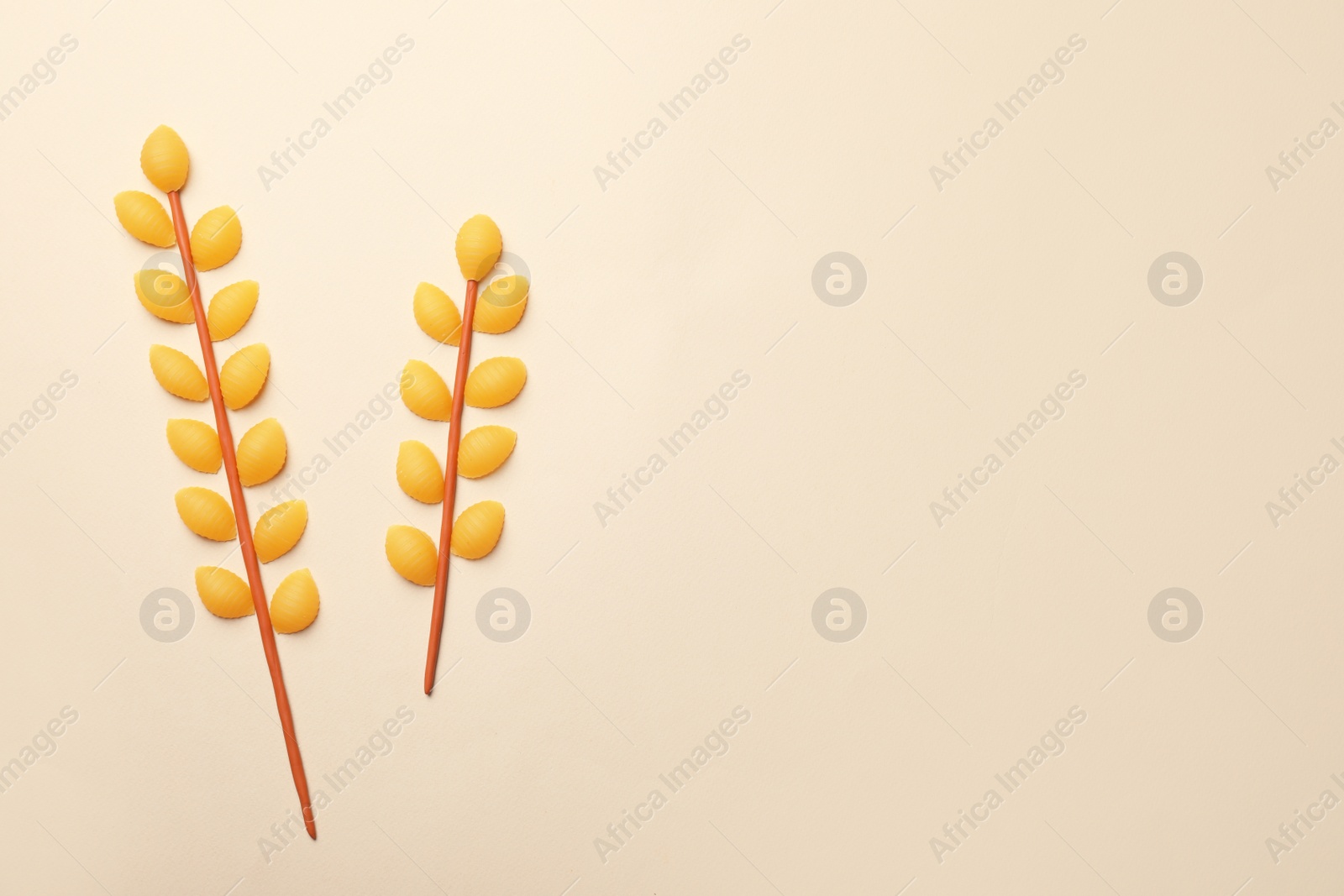 Photo of Spikelets made with conchiglie pasta and plasticine on beige background, flat lay. Space for text