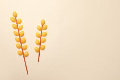 Spikelets made with conchiglie pasta and plasticine on beige background, flat lay. Space for text