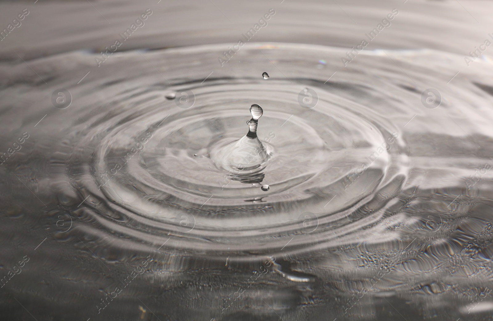 Photo of Drops falling into clear water on grey background, closeup