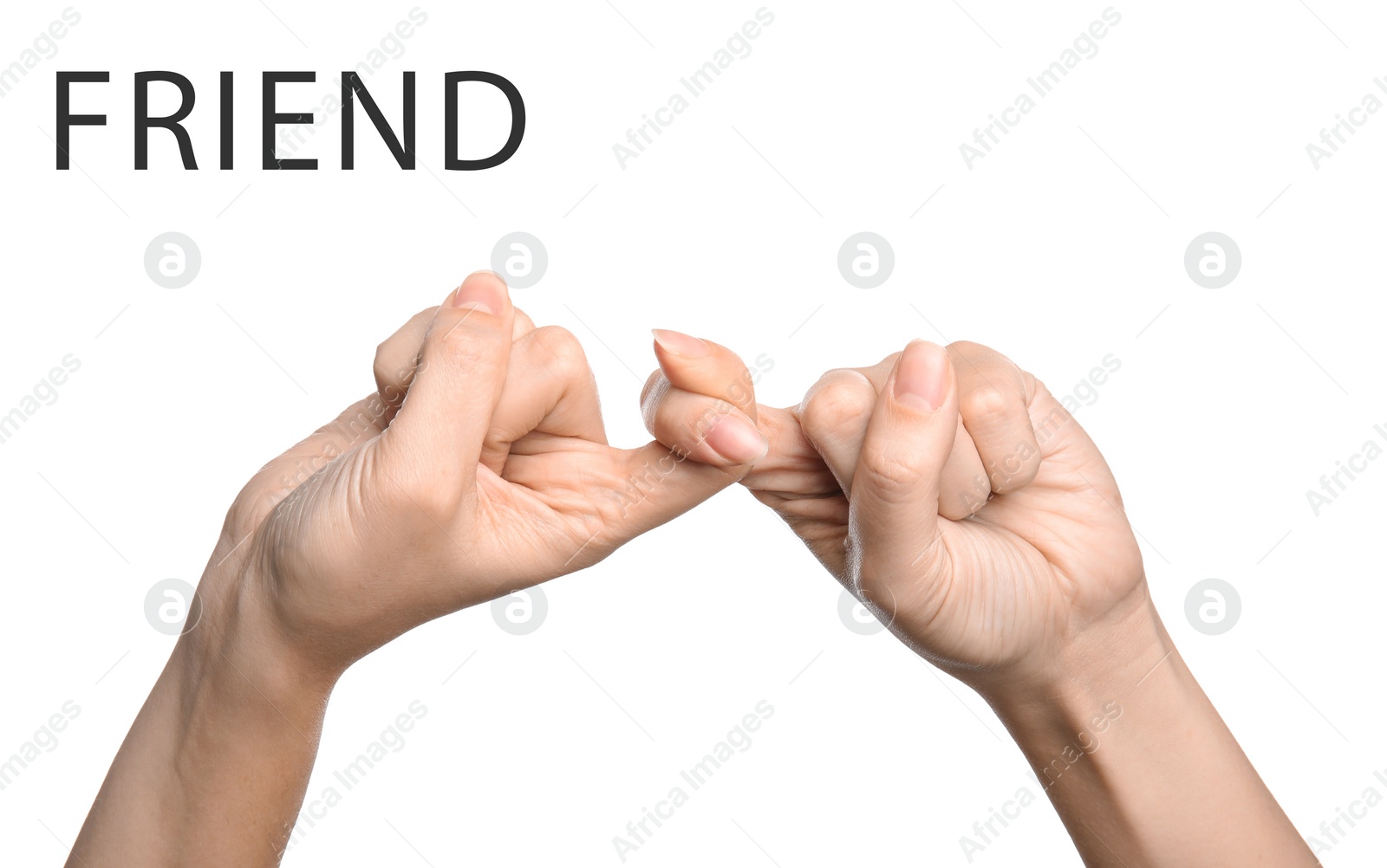 Image of Woman showing word Friend on white background, closeup. American sign language