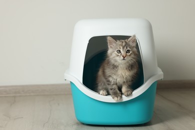 Photo of Cute fluffy kitten in closed litter box at home, space for text