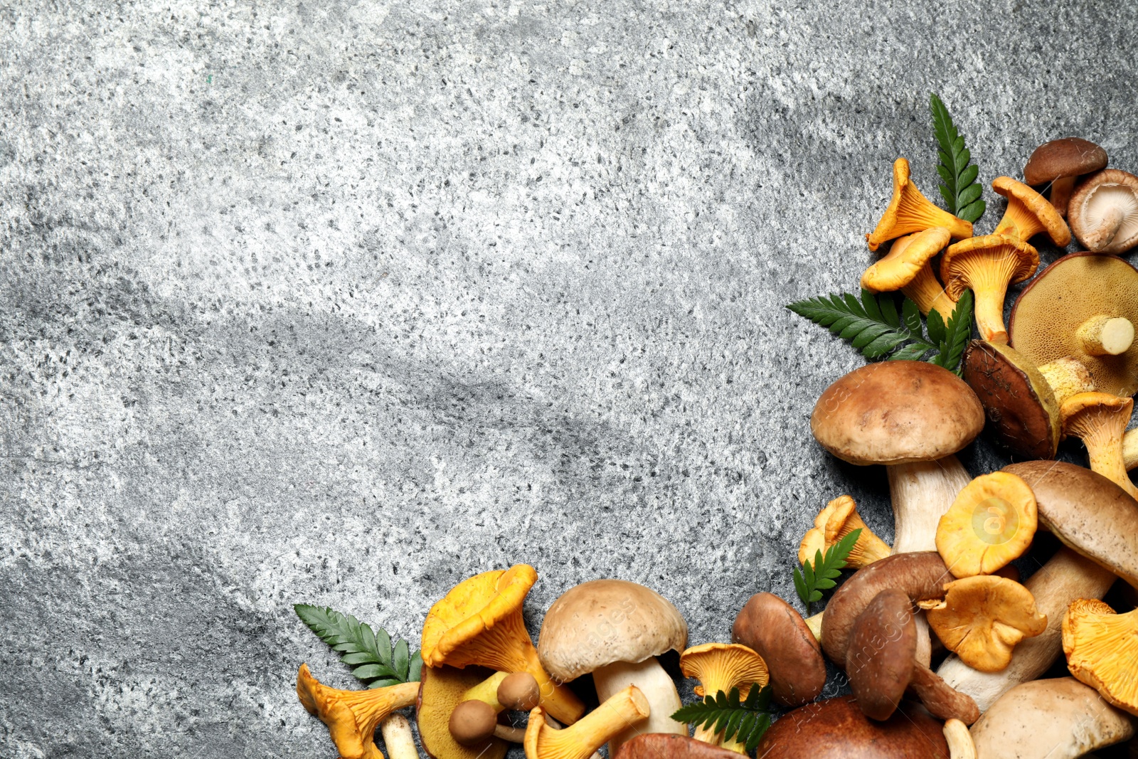 Photo of Flat lay composition with different mushrooms on grey background, space for text