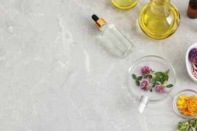 Flat lay composition with bottle of cosmetic oil and flowers on light grey table, space for text