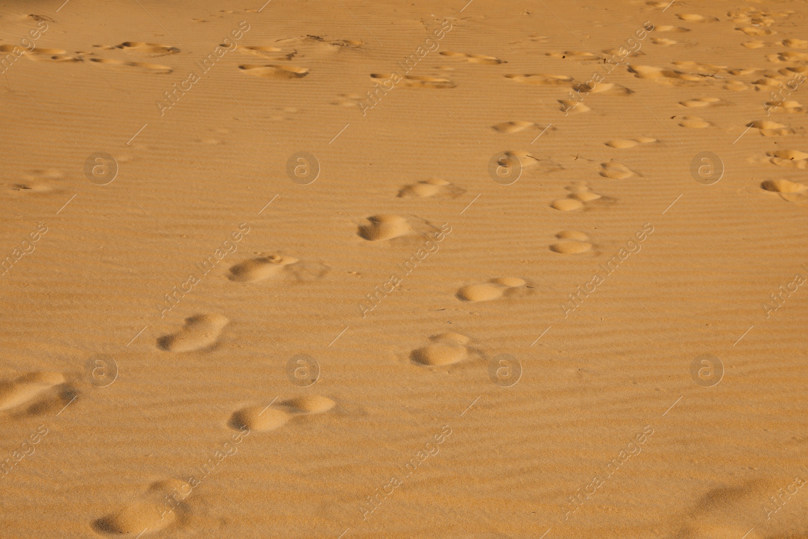 Photo of Trail of footprints on sand in desert