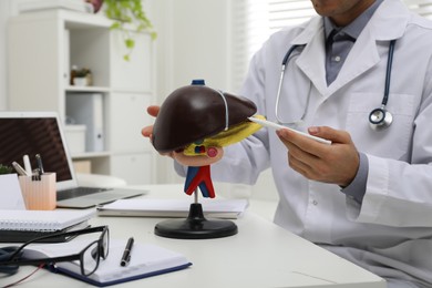 Photo of Doctor demonstrating model of liver at table in clinic, closeup