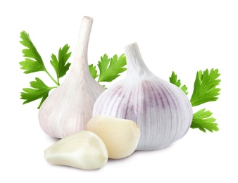 Fresh garlic with parsley on white background