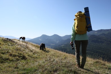 Photo of Tourist with backpack and binoculars enjoying landscape in mountains on sunny day, back view