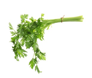 Bunch of fresh green parsley on white background