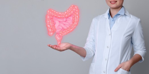Image of Gastroenterologist holding illustration of intestines on grey background, closeup. Banner design with space for text
