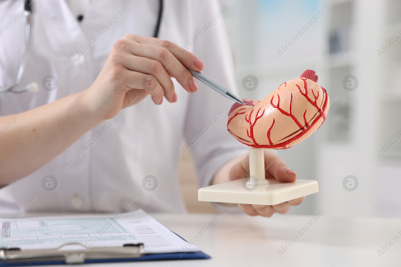 Photo of Gastroenterologist showing human stomach model at table in clinic, closeup