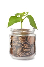 Photo of Jar with coins and green plant on white background. Investment concept