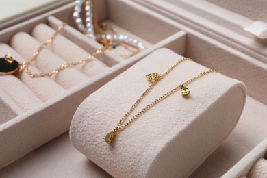 Beautiful necklace in jewel box, closeup view