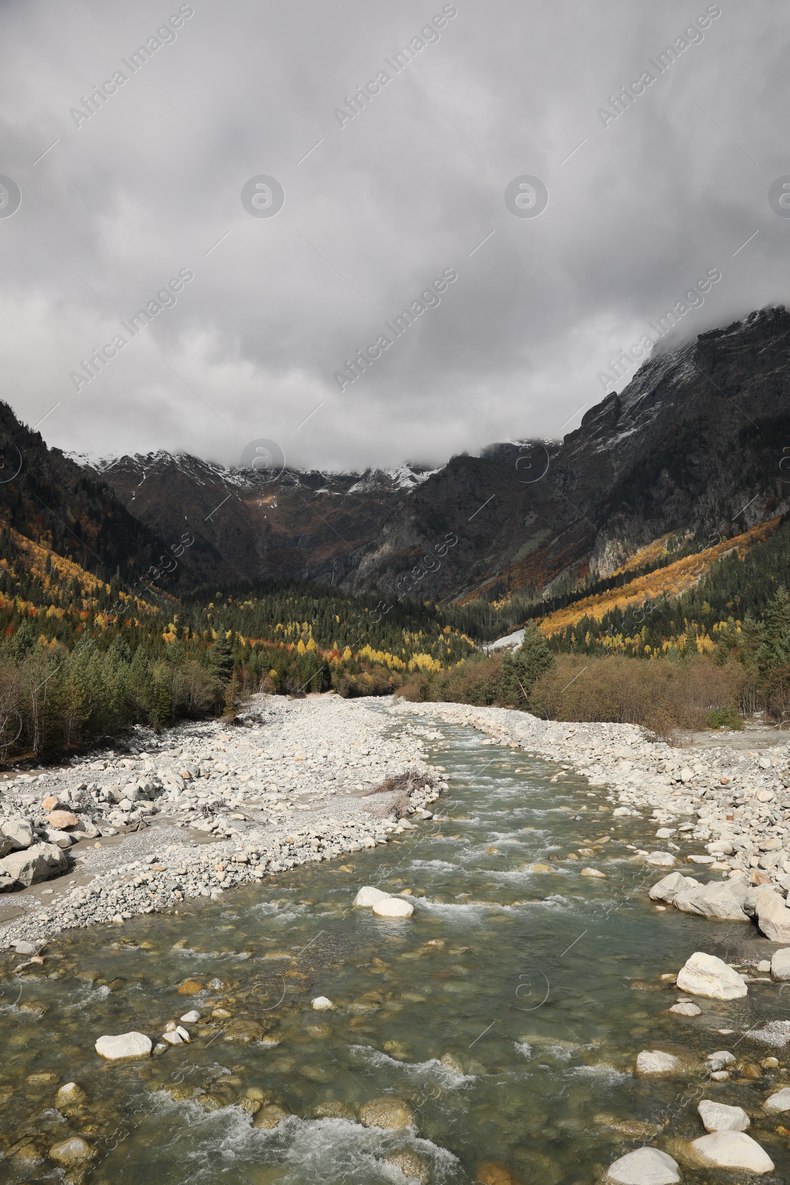 Photo of Picturesque view of river in mountains with forest on autumn day