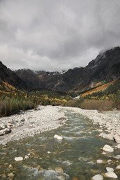 Photo of Picturesque view of river in mountains with forest on autumn day