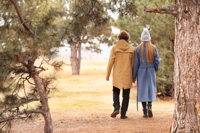 Romantic couple walking in park on autumn day