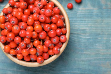 Fresh ripe rowan berries in wooden bowl on light blue table, top view. Space for text