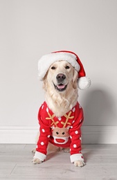 Photo of Cute dog in Christmas sweater and hat on floor