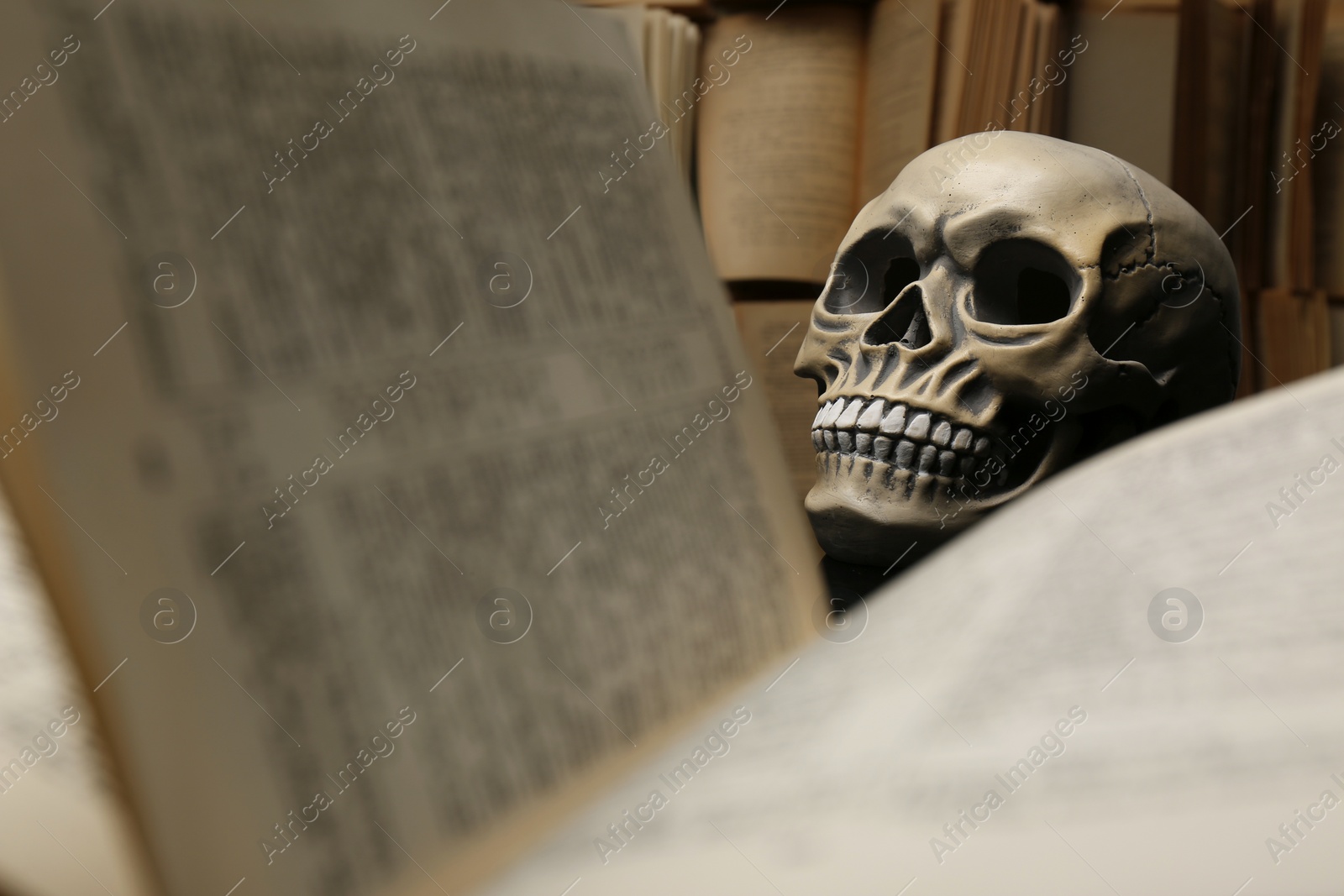 Photo of Human skull and old books, closeup view