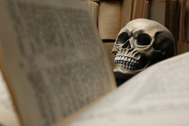 Human skull and old books, closeup view