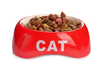 Photo of Red bowl with cat food on white background. Pet care