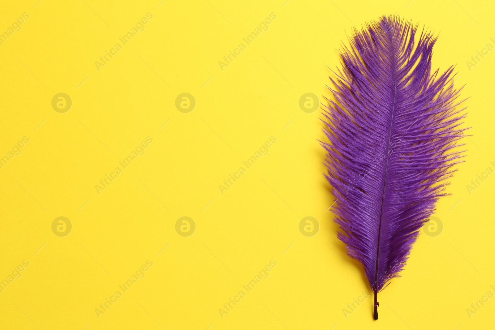 Photo of Beautiful violet feather on yellow background, top view. Space for text