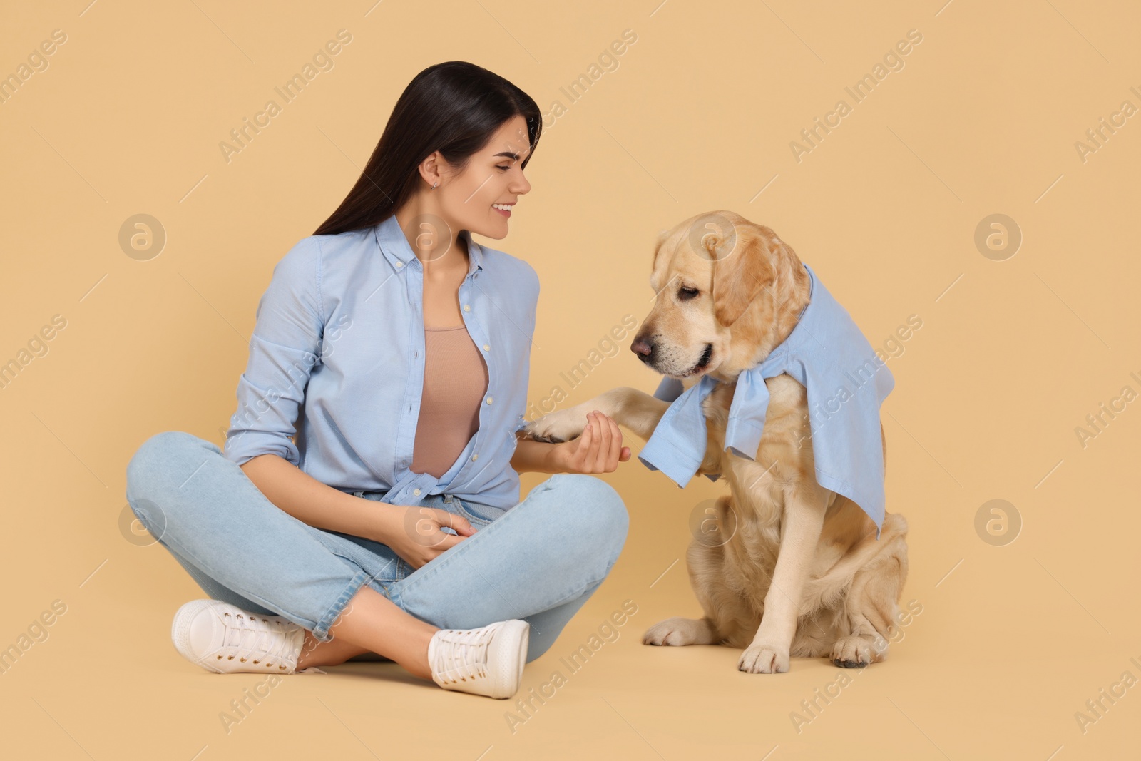 Photo of Cute Labrador Retriever giving paw to happy owner on beige background