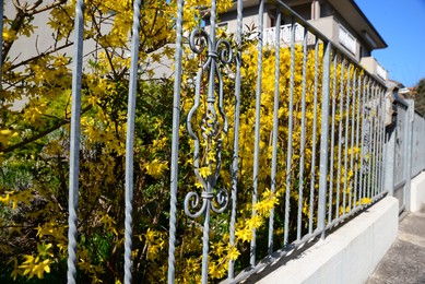 Metal fence and beautiful bushes with colorful leaves outdoors on sunny day