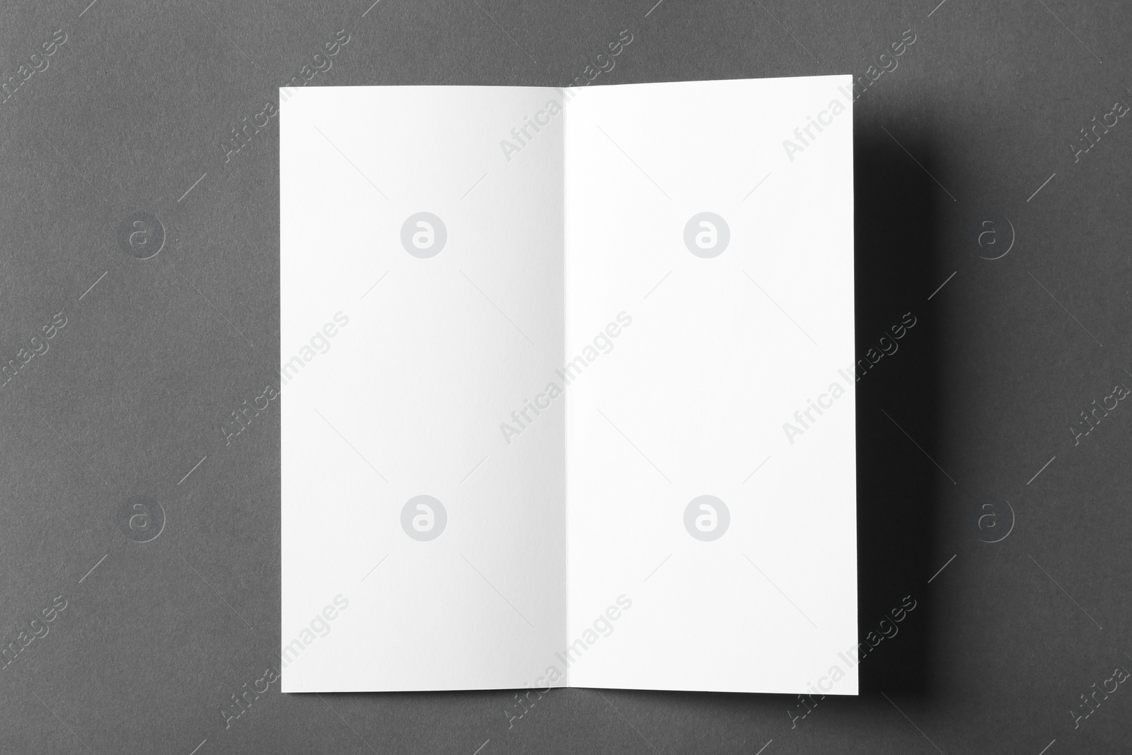 Photo of Blank brochure mock up on color background